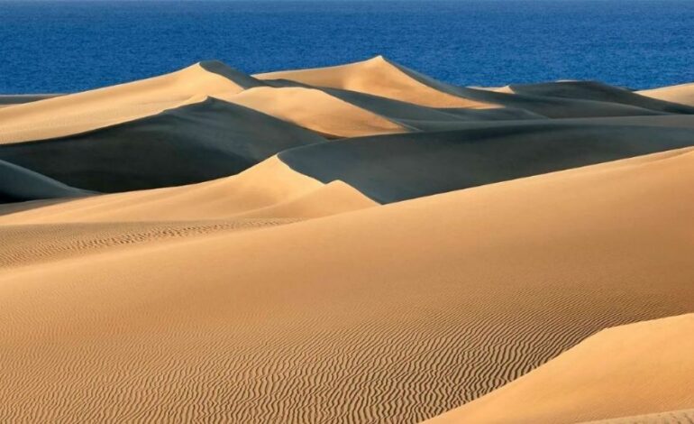 Chihuahua, el segundo estado más violento durante 2020: Inegi