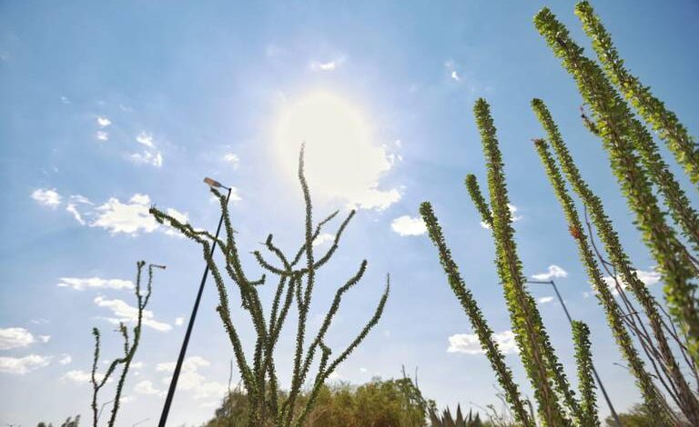 ¡No cesan altas temperaturas en la frontera!, revisa aquí el pronostico del clima