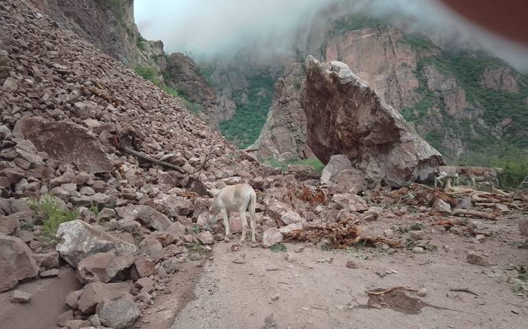 Deslave en cerro obstruye tramo carretero en Batopilas