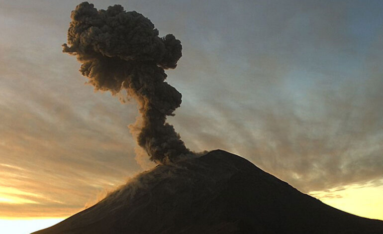 Hay 780 procesos vs Aras ante el TSJ