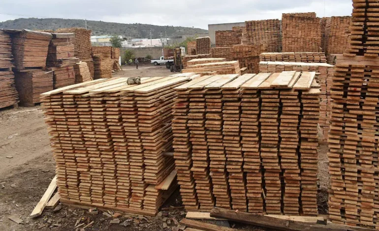 Industria maderera en la región sur se reactivaría en marzo